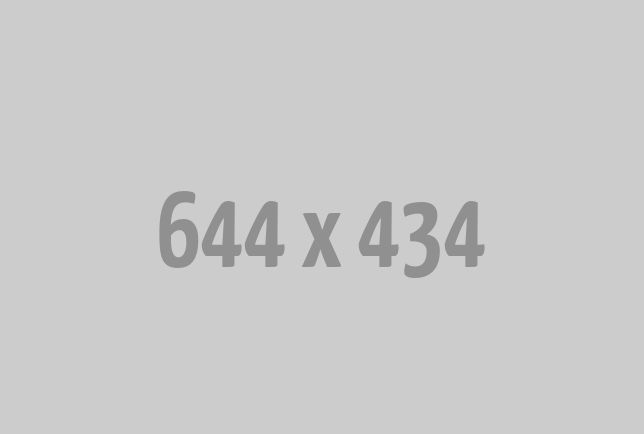 Datafull Pro Digital Marketing